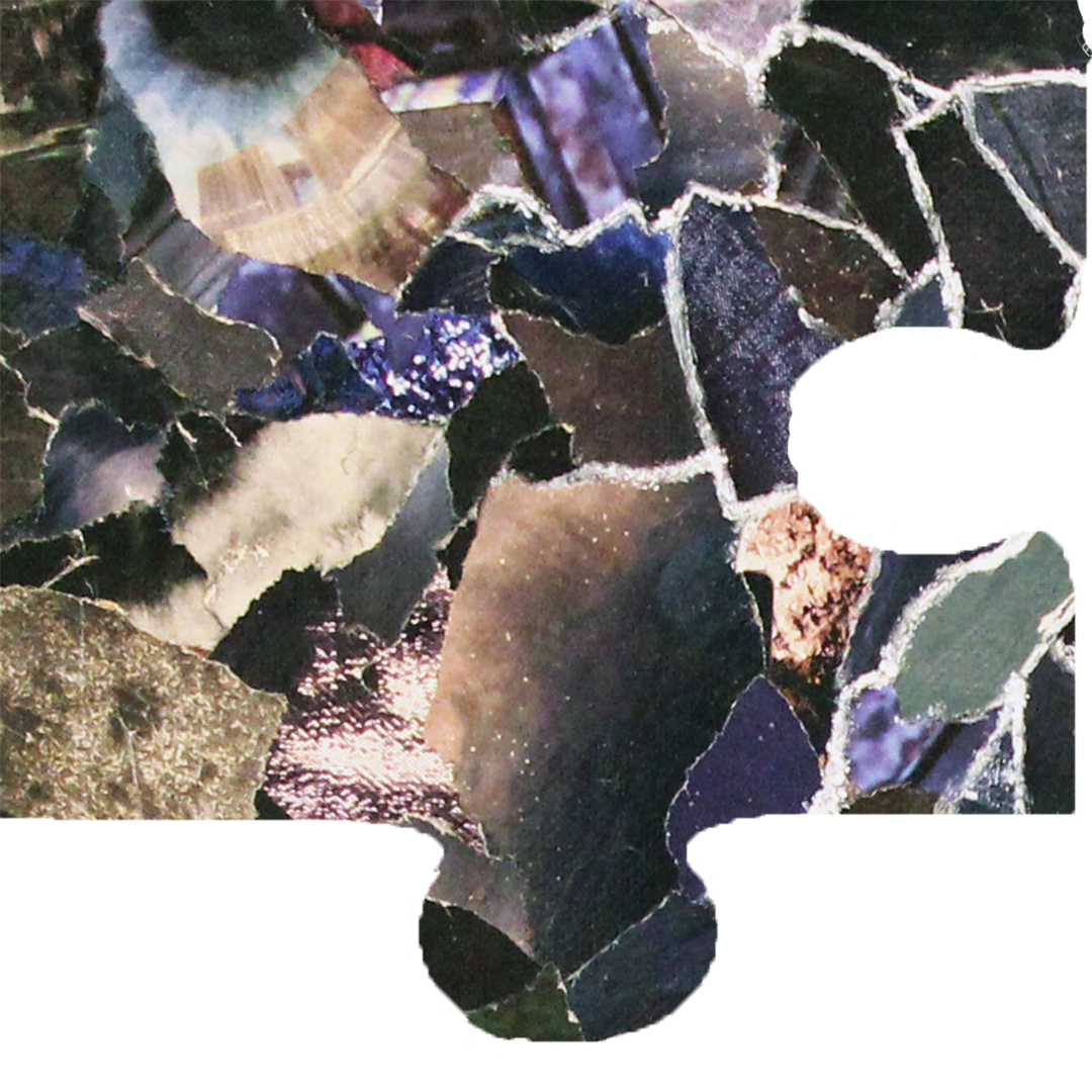 painting of butterflies